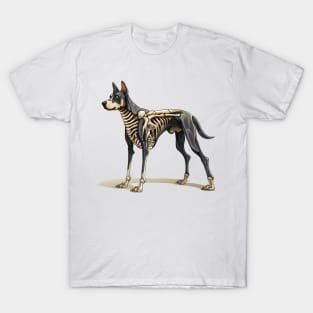 Skeleton Doberman Pinscher Dog T-Shirt